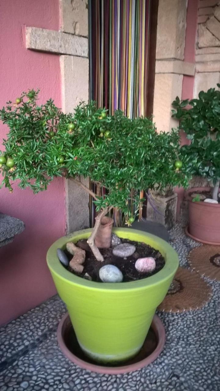 Agriturismo Il Melograno Riola Sardo Exterior foto