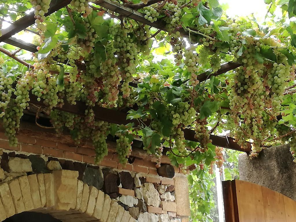 Agriturismo Il Melograno Riola Sardo Exterior foto