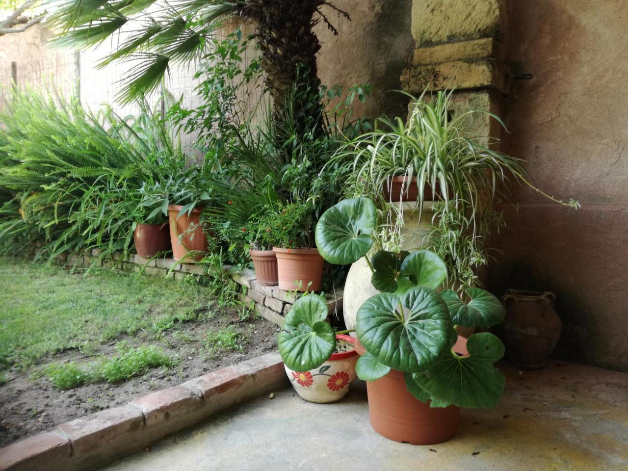 Agriturismo Il Melograno Riola Sardo Exterior foto